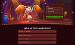 Découvrez les Meilleures Offres de Jeux de Casino de Magius en France à France
